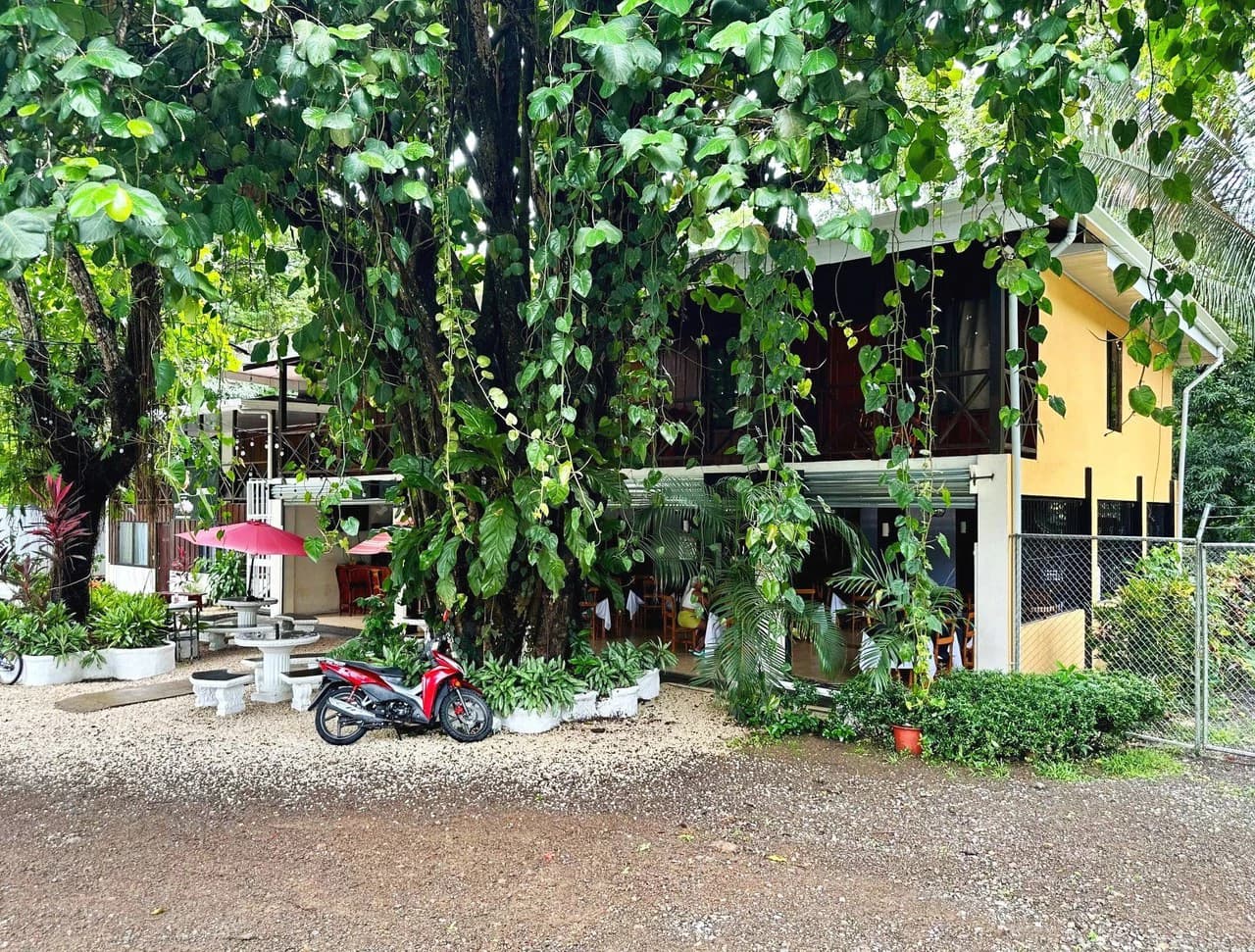 Tambor Restaurant / Hotel: Turnkey 7 BR Tambor Minihotel + Restaurant + 3 BR Apartment
