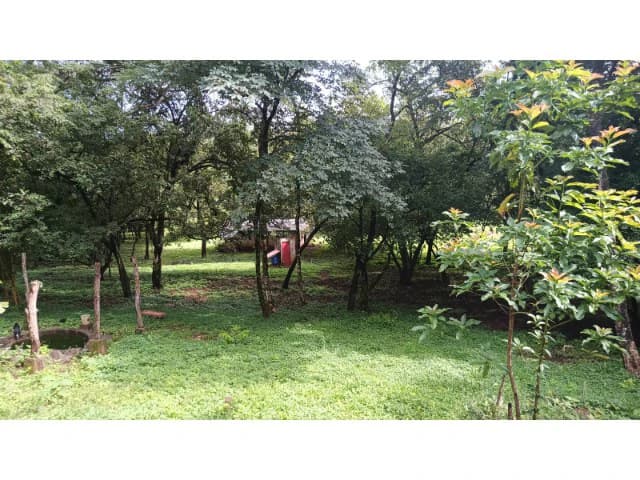 Dream Ranch for Sale with Houses and Horse Stable in Guanacaste – Great Investment Opportunity - photo 11