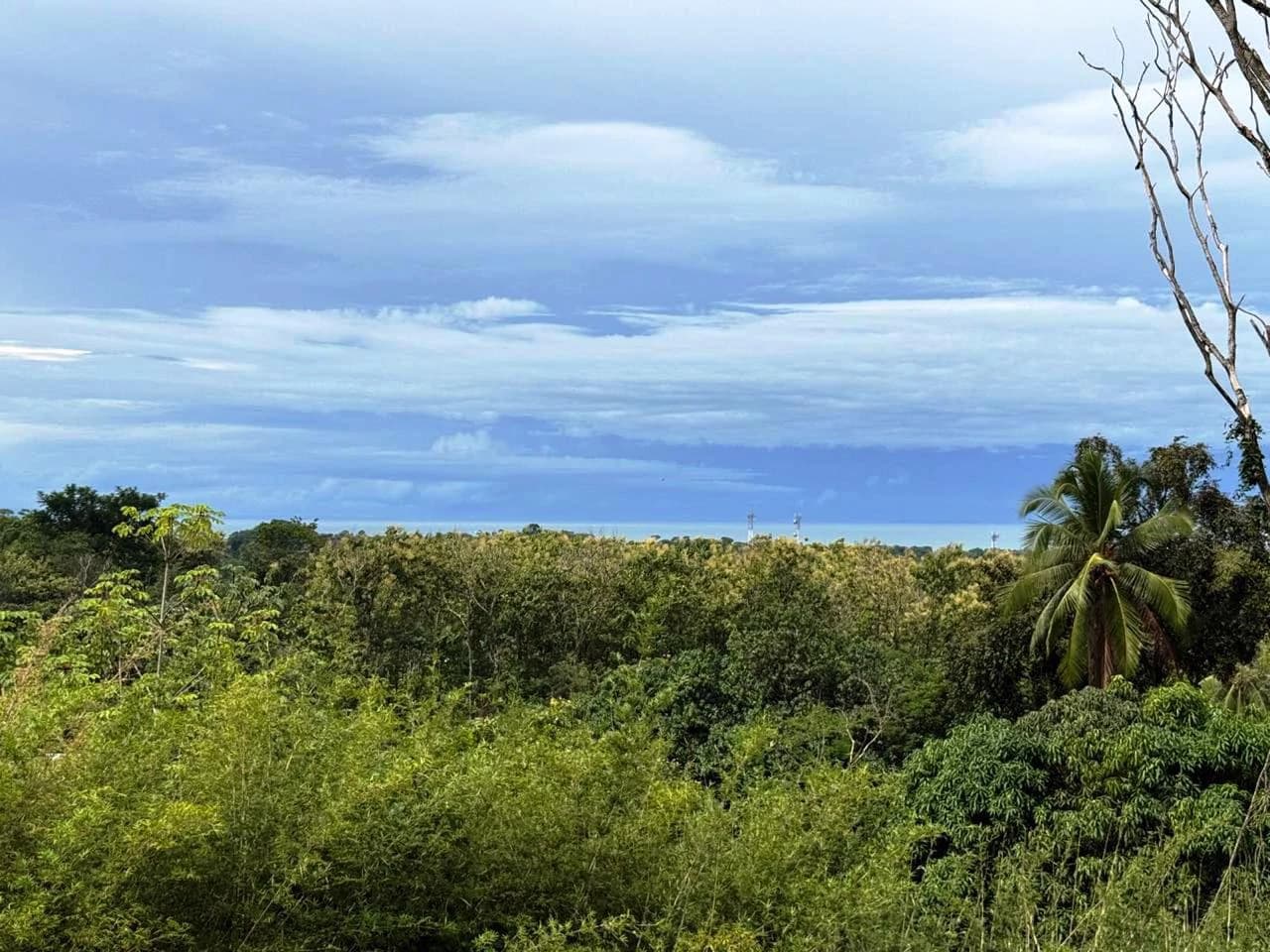 Prime Ocean View Development Property in Downtown Uvita - photo 14