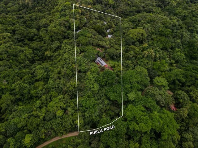 Nosara's Brand New Top Villas as a Business Opportunity in the dense forest of catchment area, 7 villas for sale in Costa Rica's Healthy Blue Zone - photo 42