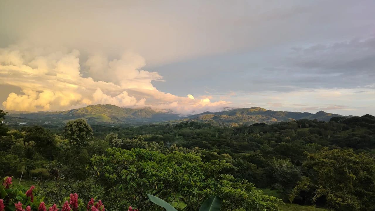 Agricultural Farm for Sale in the mountains of Hojancha, Beautiful 25-acre property with floating lake Apartment and Huge main home - photo 25