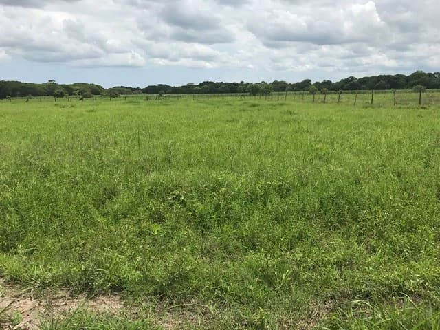 Commercial Development Land for Sale in Guanacaste, Costa Rica - photo 6