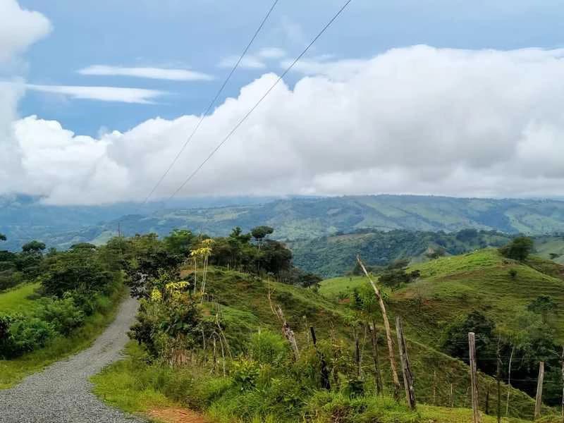 Livestock Farm | Titled property located in Santa Eduviges - photo 11
