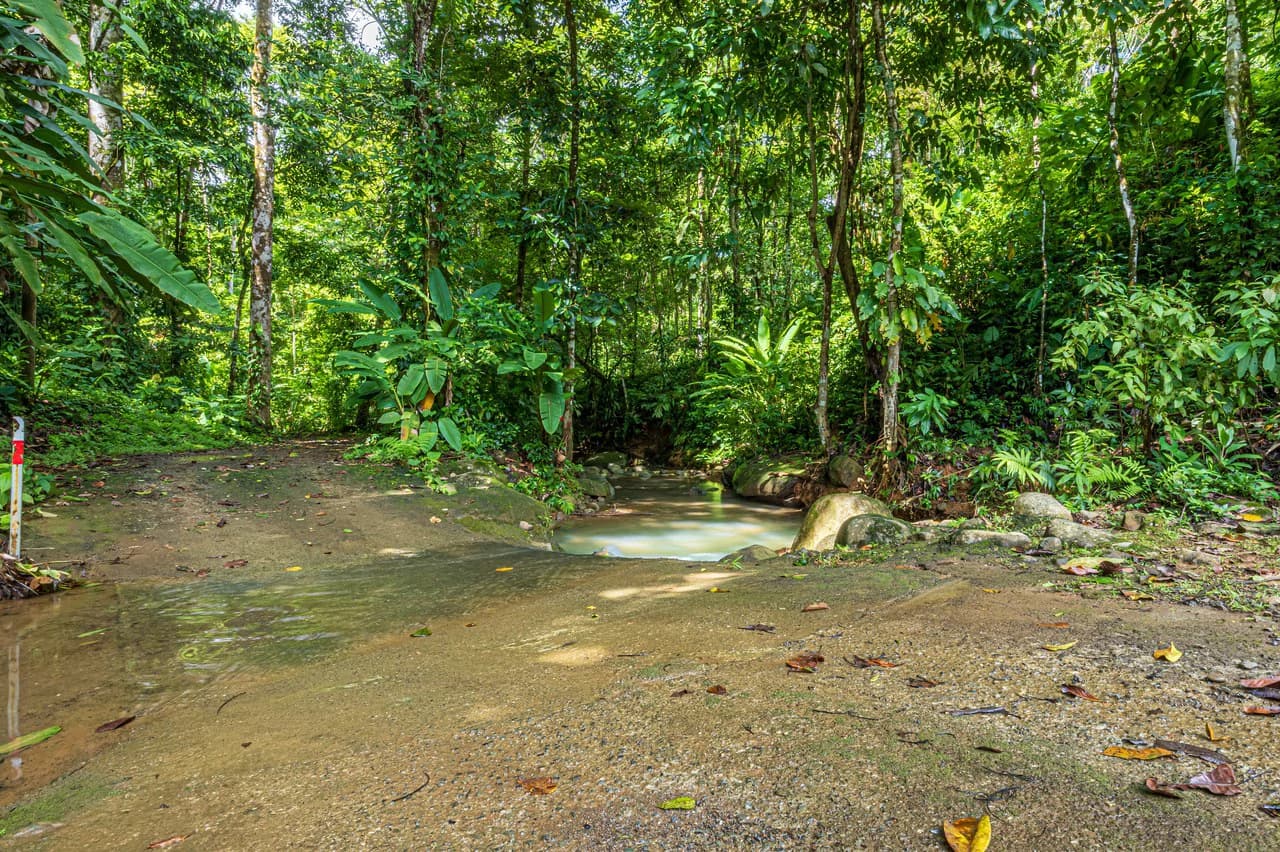 A Jungle House Built of Wood & River Dreams - photo 40