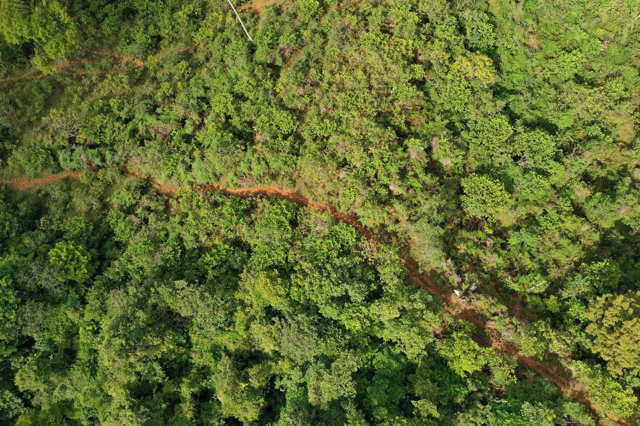 47 Acre Off Grid Ranch with Ocean & Mountain Views San Lorenzo Perez Zeledón - photo 22