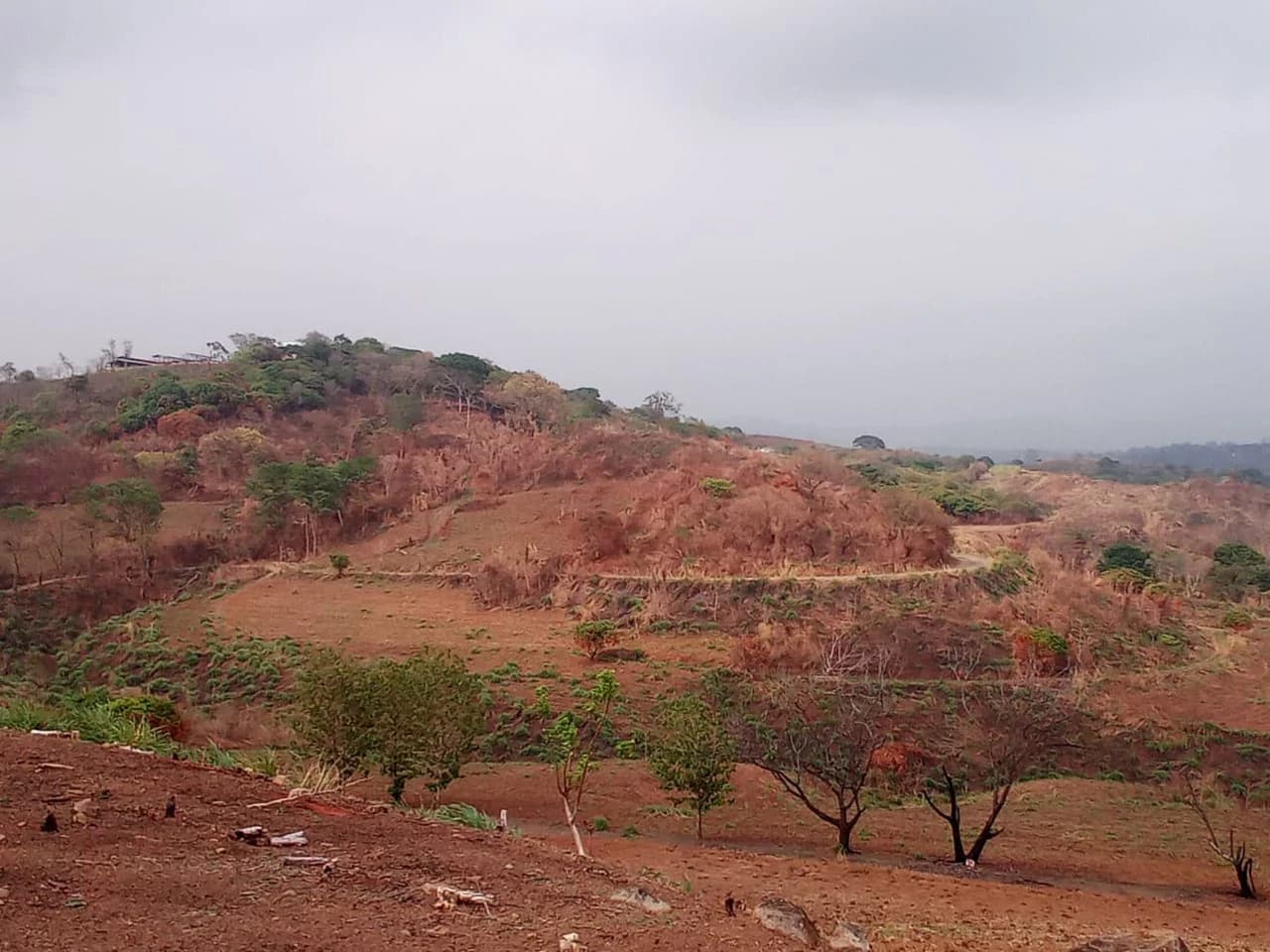 THE JEWEL OF GRECIA: $20m2 - 10 Hectares of Unlimited Potential! - photo 8
