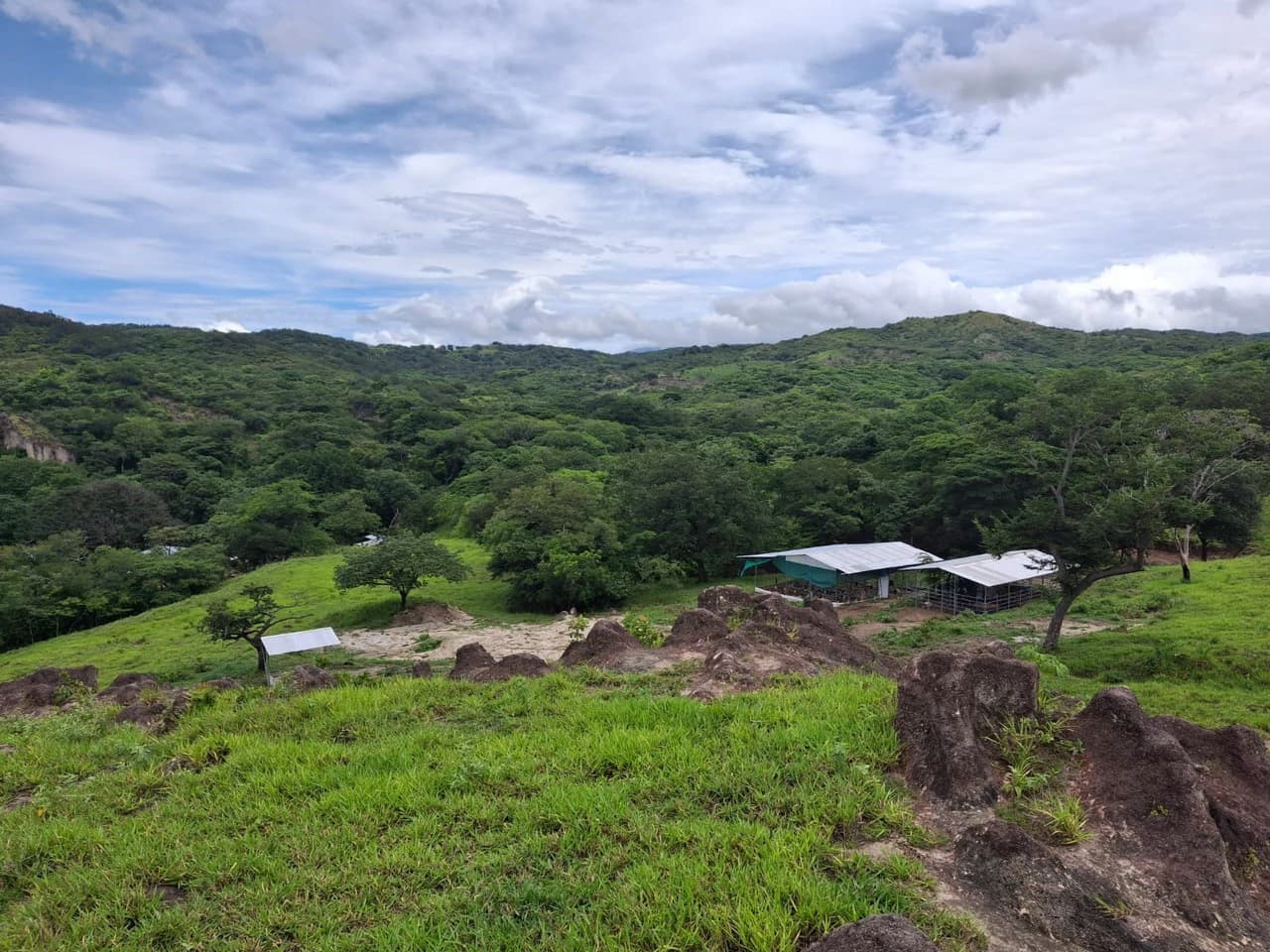 REDUCED! Natural beauty meets Tranquility!: 70,000m2 in Growing Geothermal Eco-Tourism area! - photo 8