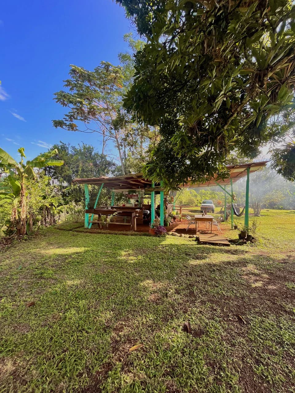 SPECTACULAR ECOLOGICAL MOUNTAIN FARM IN BIJAGUAL DE TURRUBARES - photo 34