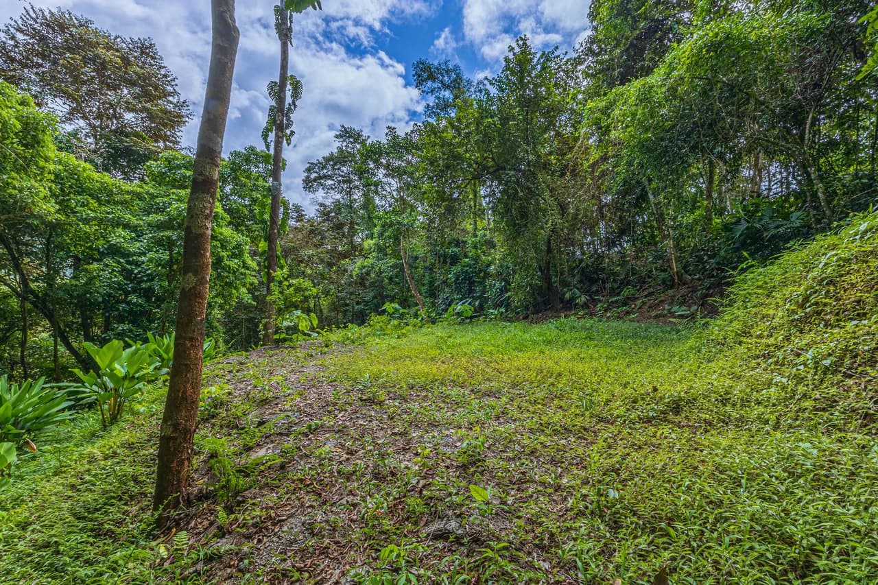 Rare 86-Acre Ocean View Estate Bordering Hacienda Barú – A Unique Opportunity for Conservation and Development - photo 5