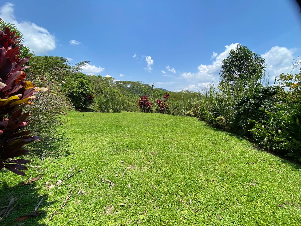 Beautiful Property with 4 cabins in El Castillo with gorgeous Lake View..!! - photo 4