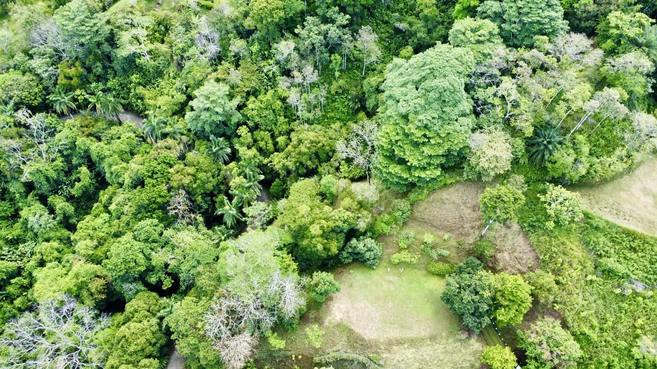 3.6 Acre Ocean View, Near the Beach & Cool Mountain Elevation: Mountain Home Construction Site For Sale in Lagunas - photo 2