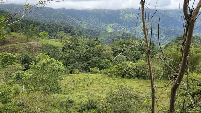 116-Hectare Finca for Sale Near Uvita with Whales Tail Views and 10 Waterfalls | La Faralla, Bahia Ballena, Uvita, Puntarenas, Costa Rica - photo 53