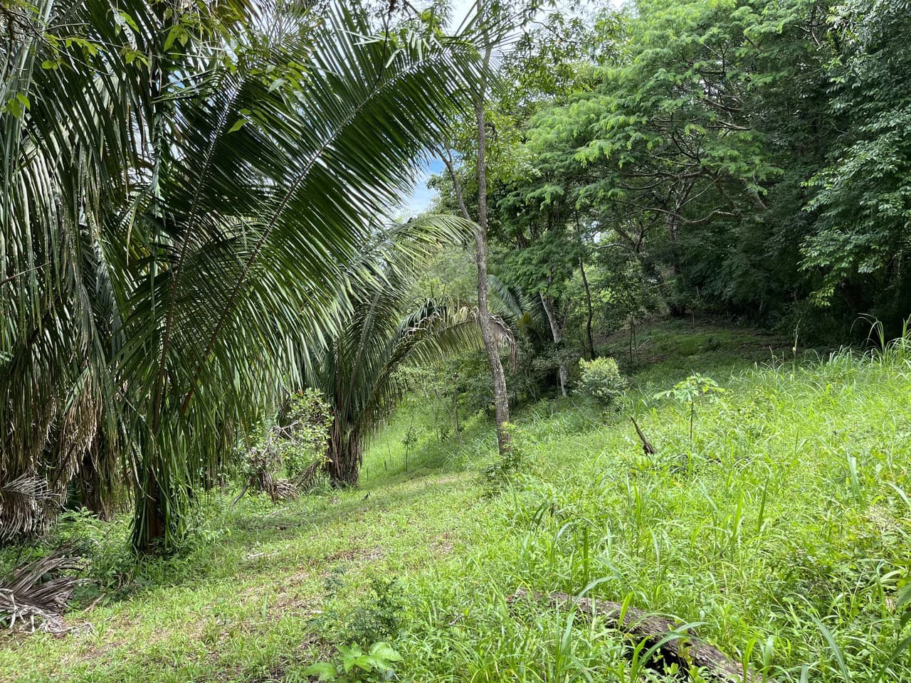 6 Acres Ready for Development in Samara - photo 8
