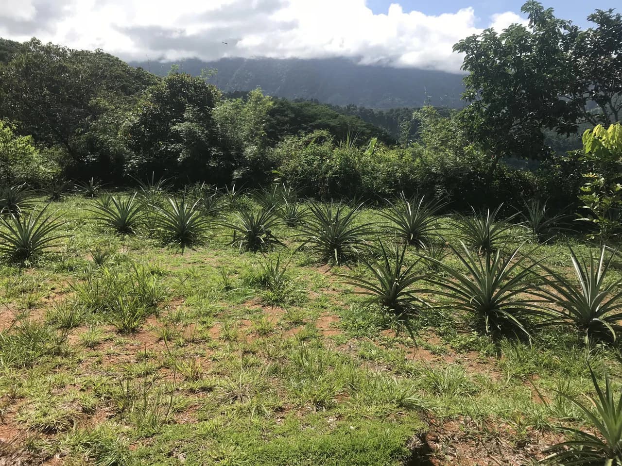 2.7 ACRES – 3 Bedroom Home With Great Mountain View, 2 Pools With Waterslide, 2 Wheel Drive Access!!! - photo 21
