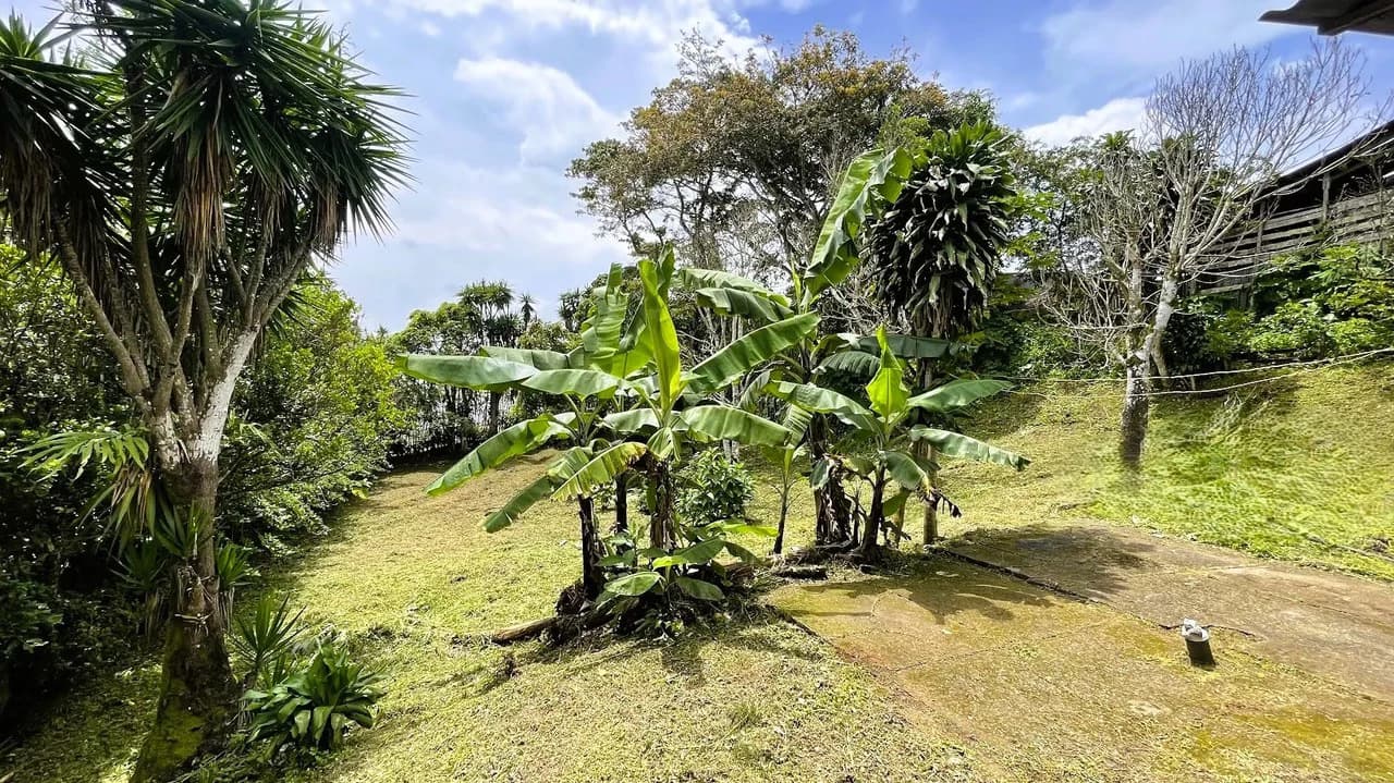 INVESTMENT: HOUSE & LARGE LOT IN SAN ISIDRO, SAN RAMON: House For Sale in San Ramón - photo 2