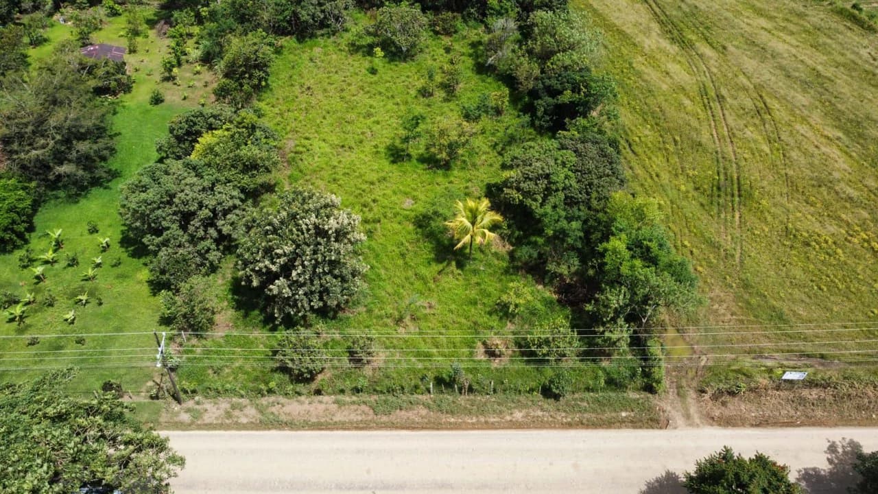 Se vende propiedad en el Rosario Pacuar, Pérez Zeledón.: Countryside Home Construction Site For Sale in Daniel Flores - photo 10