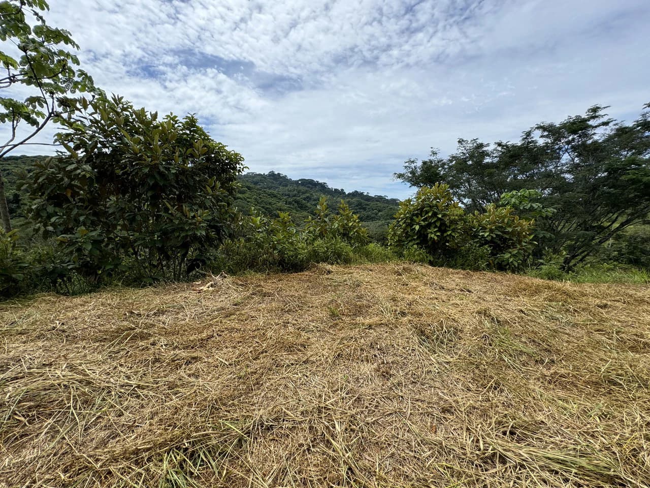 2.6 ACRES – 3 Bedroom Home With Beautiful Views, Several More Building Sites, Perfect For Small Farm!!! - photo 31
