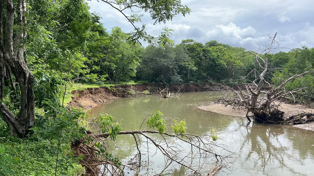 Beachfront Private Titled Property for sale close to La Cruz, beautiful nature land, ready to build - photo 7