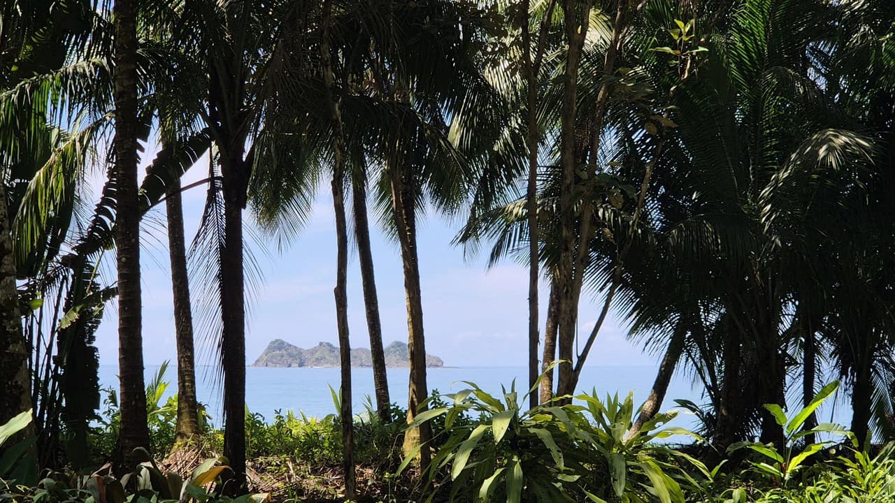 Dream Beachfront Property at Ballena Beach in Uvita, Costa Rica - photo 24