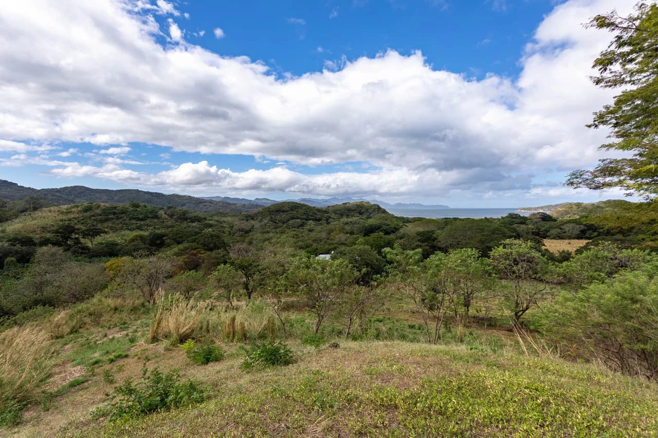 220 Acres Beachside Farm with Ocean View at Playa Junquillal in Guanacaste - photo 9