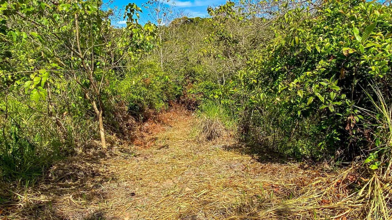 32 Acre Self Sustainable Farm with House Close Ojochal - photo 70