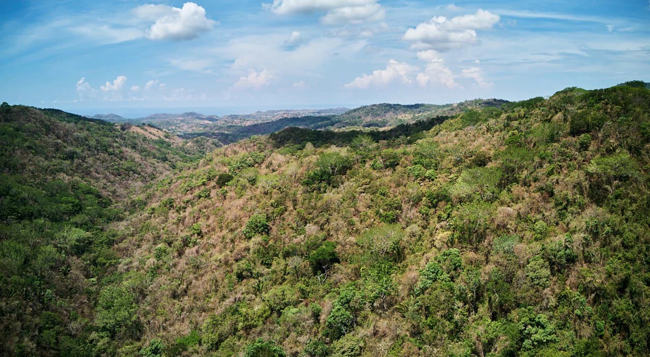 Finca Gomez: 214 Hectares | Ocean Views, Rivers & Development Potential – Guanacaste - photo 2