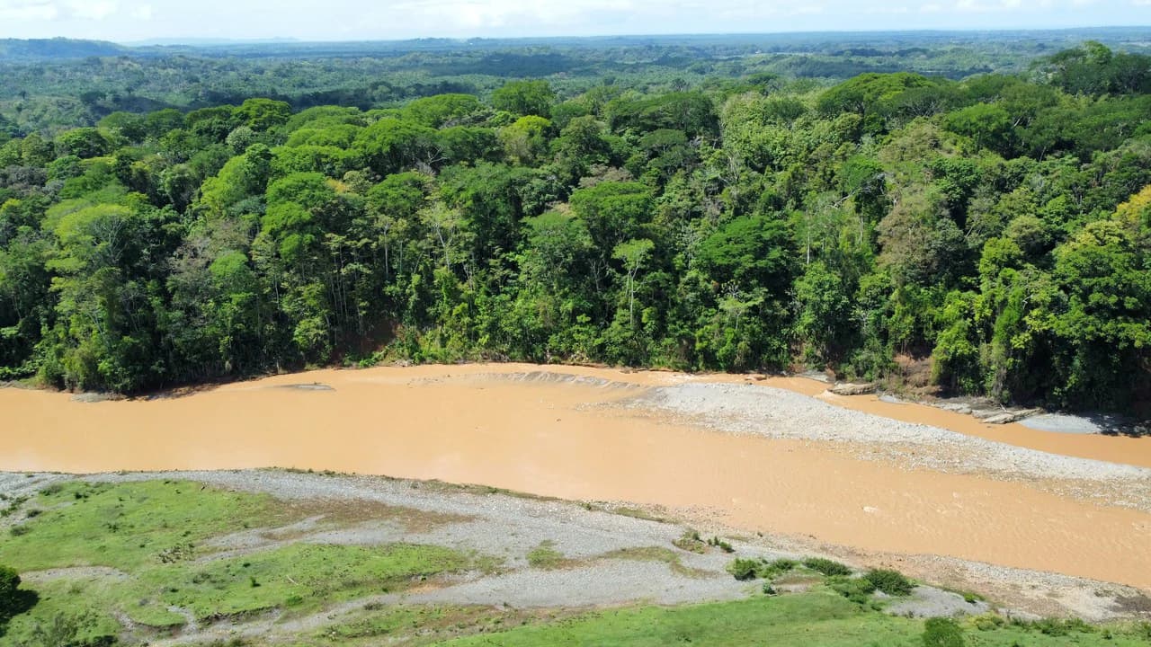 7-Hectare Farm with Teak Plantation, Existing Home & Eco-Development Potential Near Parrita, Costa Rica - photo 5