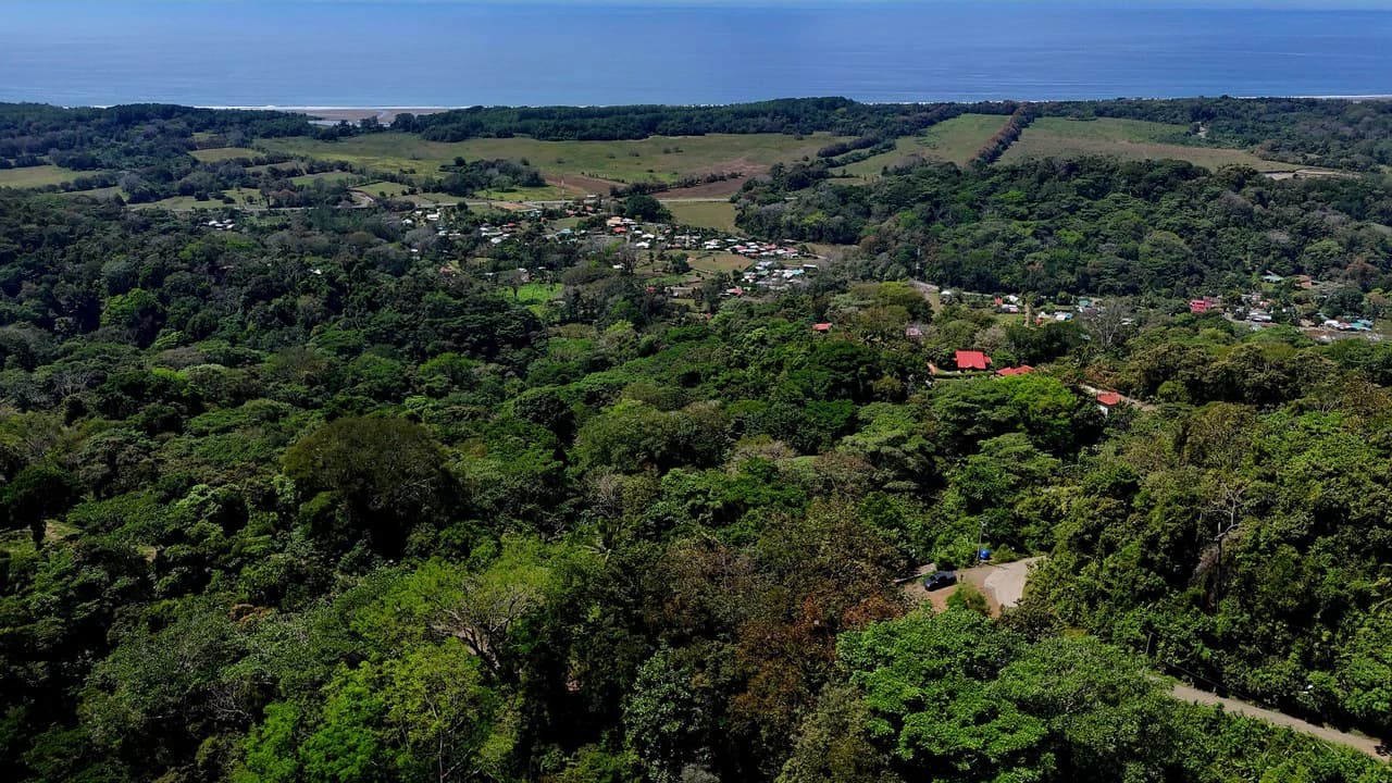 Ocean View Property with Plantel and Trails in Hatillo – Ready to Build: Mountain Home Construction Site For Sale in Hatillo - photo 9
