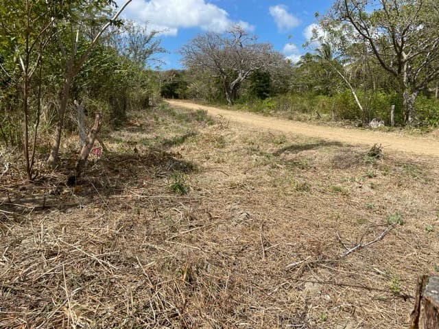 Countryside and Near the Coast Home Construction Site For Sale in El Jobo - photo 3
