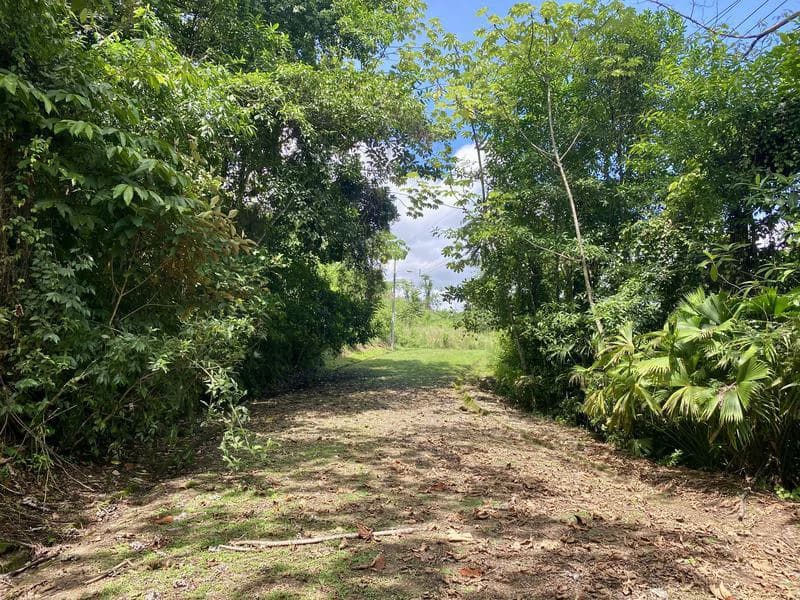 Exquisite Jungle property with Ocean View | Gated Community in Ojochal - photo 4