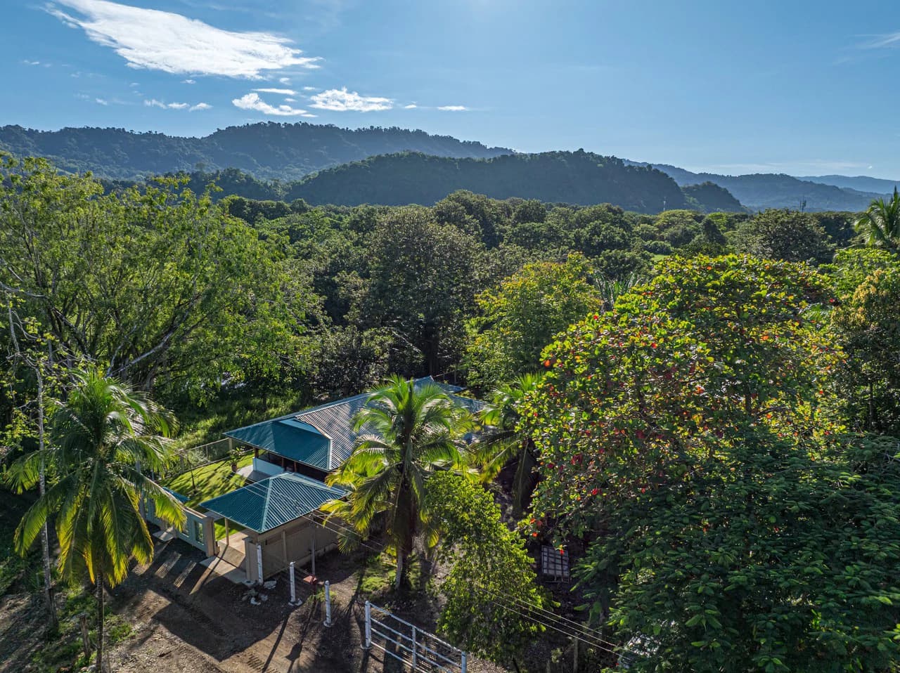 Casa Tortuga: New Home Just 3 Minutes Walk From Playa Matapalo - photo 12