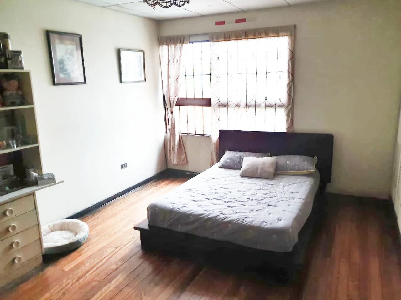 Independent 4 Bedroom House for Sale on Calle Ancha de Pavas San José Costa Rica - photo 13