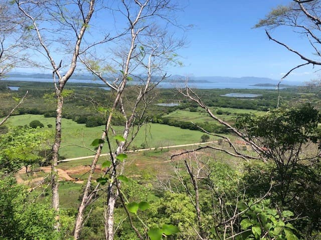 Amazing 50% discount for Huge ocean-view farm for sale surrounded by soft rolling hills and pristine nature - photo 4