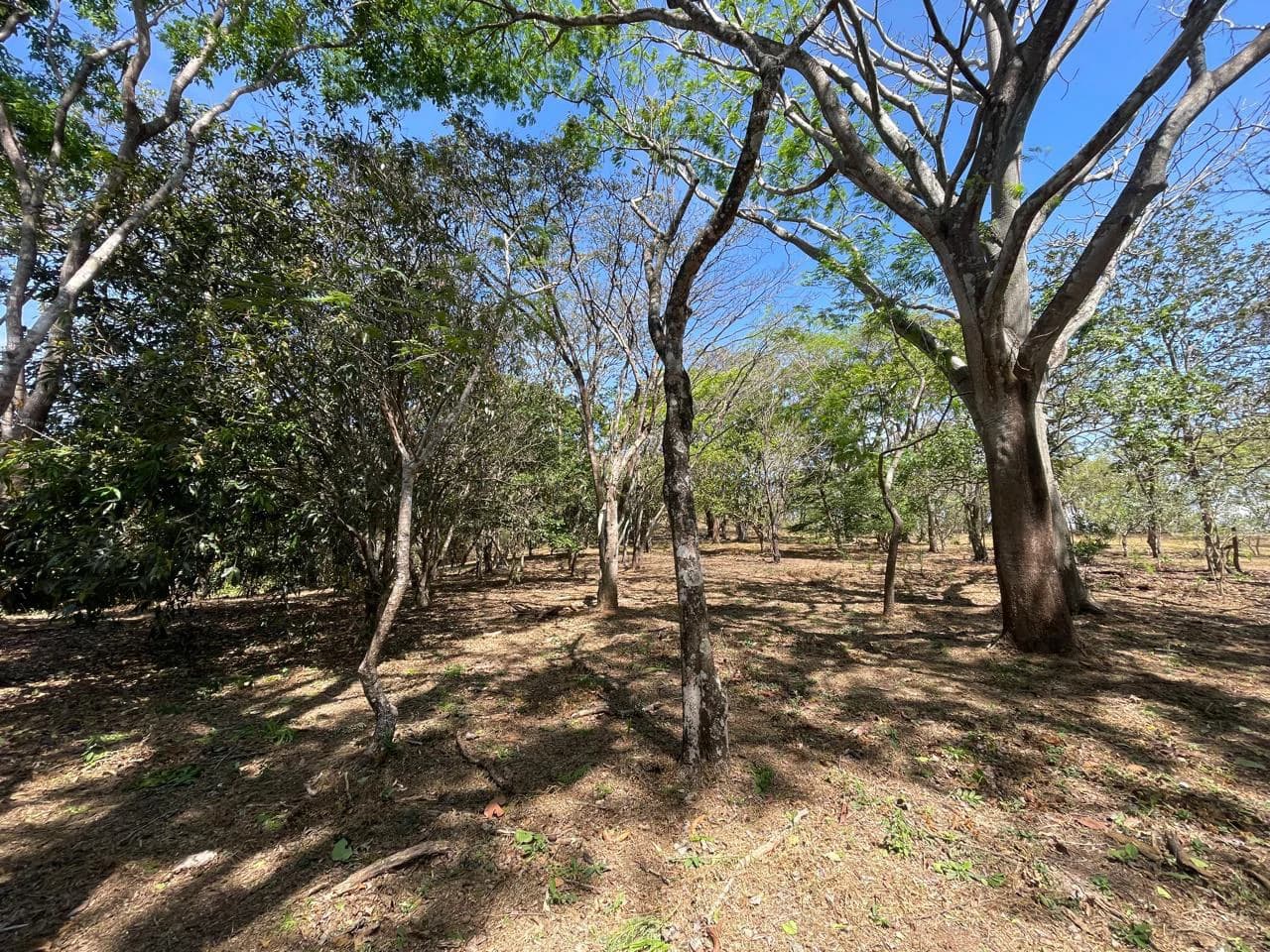 Ocean view property for sale Rodeo Ciudad Colon San Jose Costa Rica - photo 19