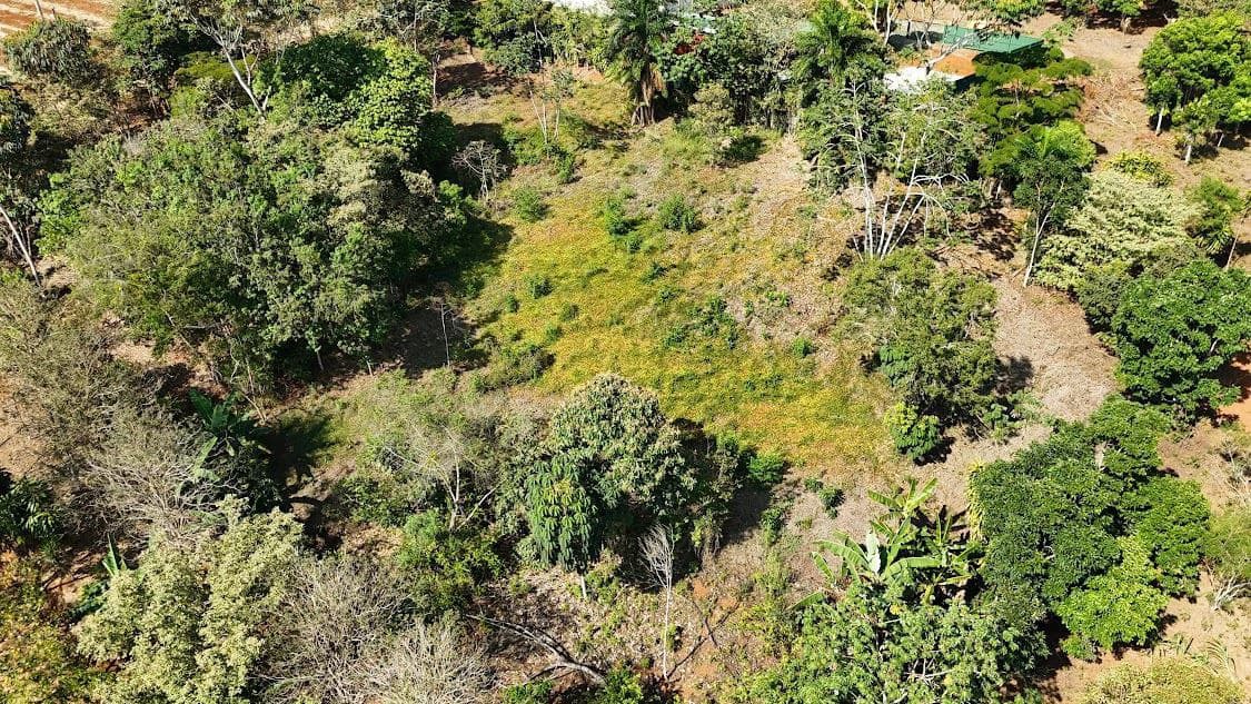 Home Construction Site For Sale in La Ceniza - photo 16