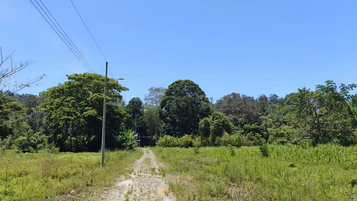ID 924: El Cortijo: El Cortijo - Residential Lots for Sale in Hone Creek Near Puerto Viejo - photo 8