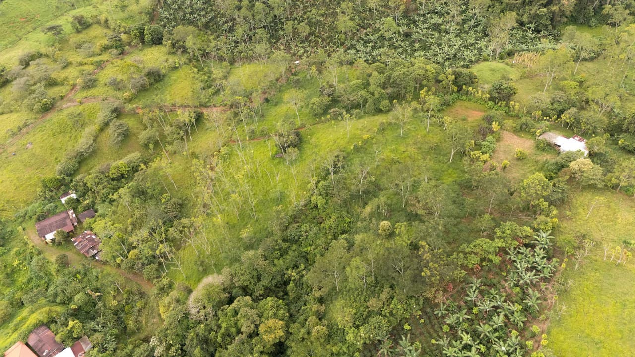 Se vende 6acres en San Antonio de Rivas, Pérez Zeledón: Countryside Home Construction Site For Sale in San Isidro del General - photo 23