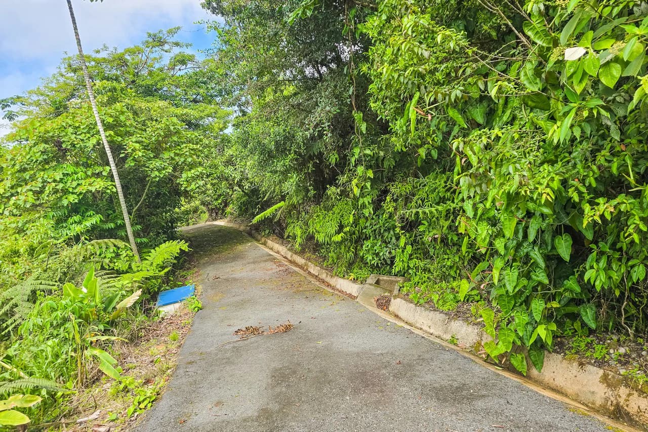 Near the Coast Home Construction Site For Sale in Ciudad Cortés - photo 11