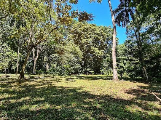 Cahuita Developer Lot