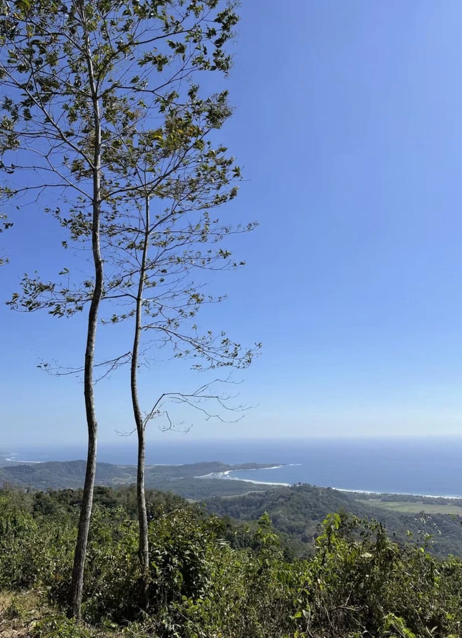 Ocean view farm for sale Costa Rica San Miguel Beach Costa de Oro - photo 7