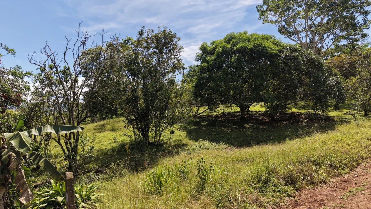 Home Construction Site For Sale in Cajón - photo 6