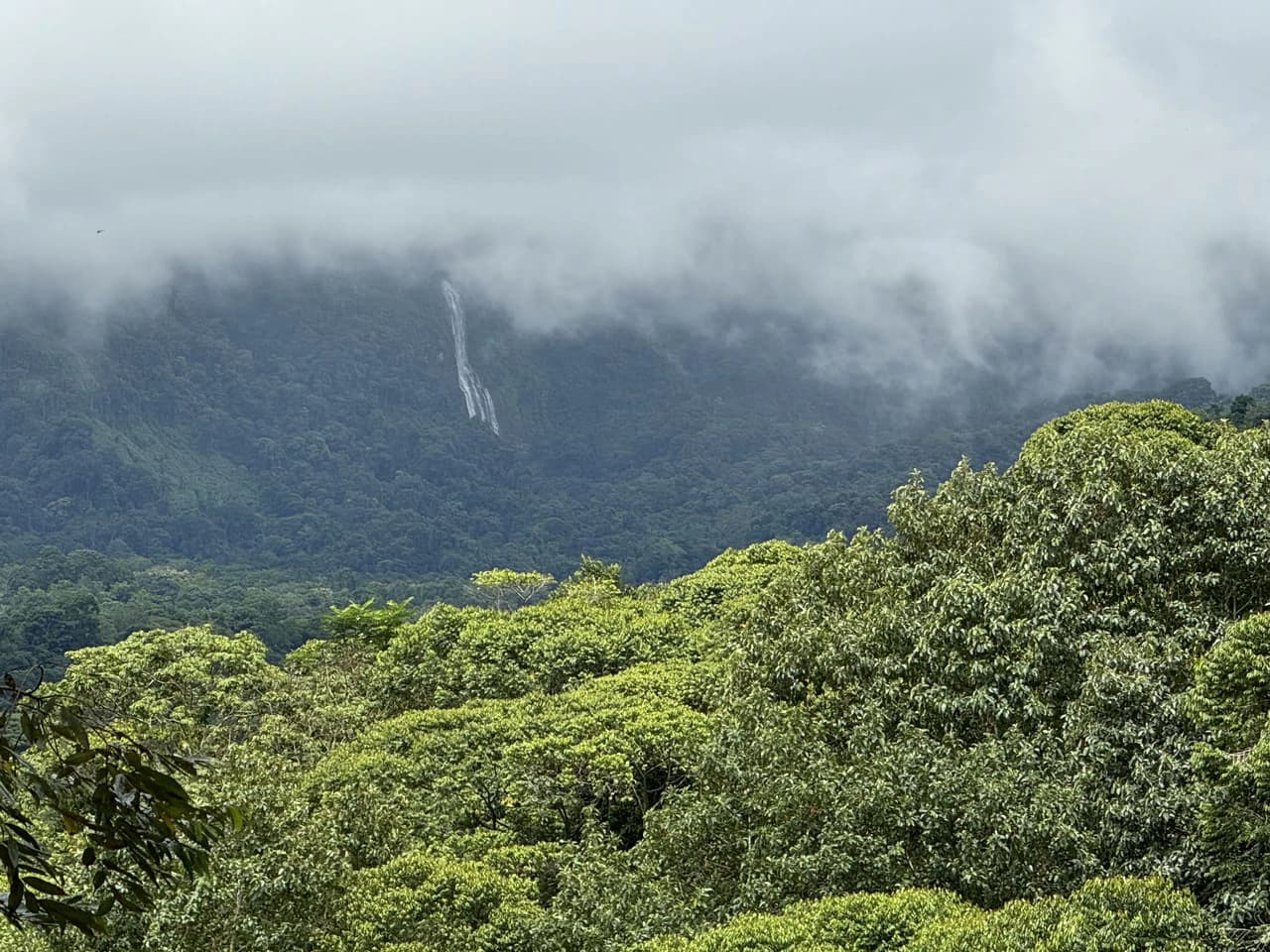 Diamante Waterfall View Land in Dominical 2.9 Acres - photo 12