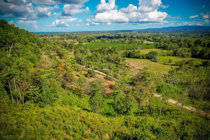 Ocean View & Primary forest 55-ha Rincon de Osa - photo 29