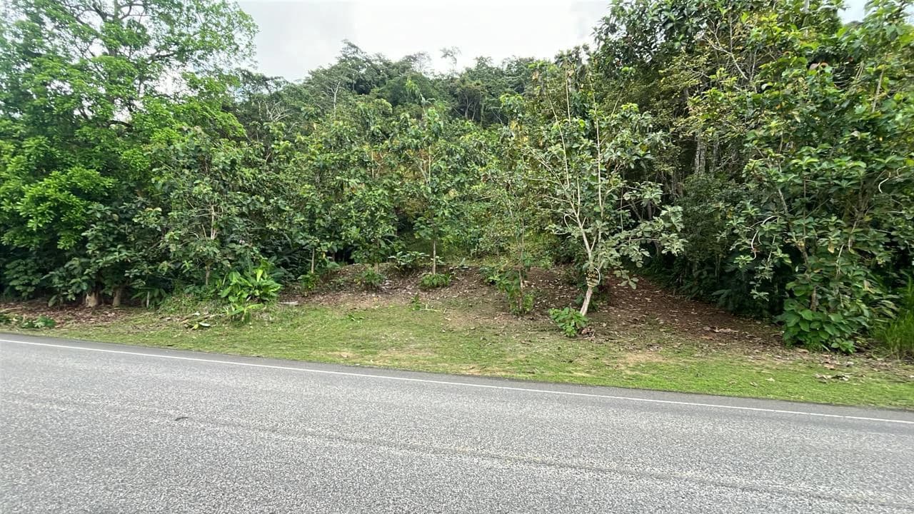 Near the Coast Home Construction Site For Sale in Ciudad Cortés - photo 2