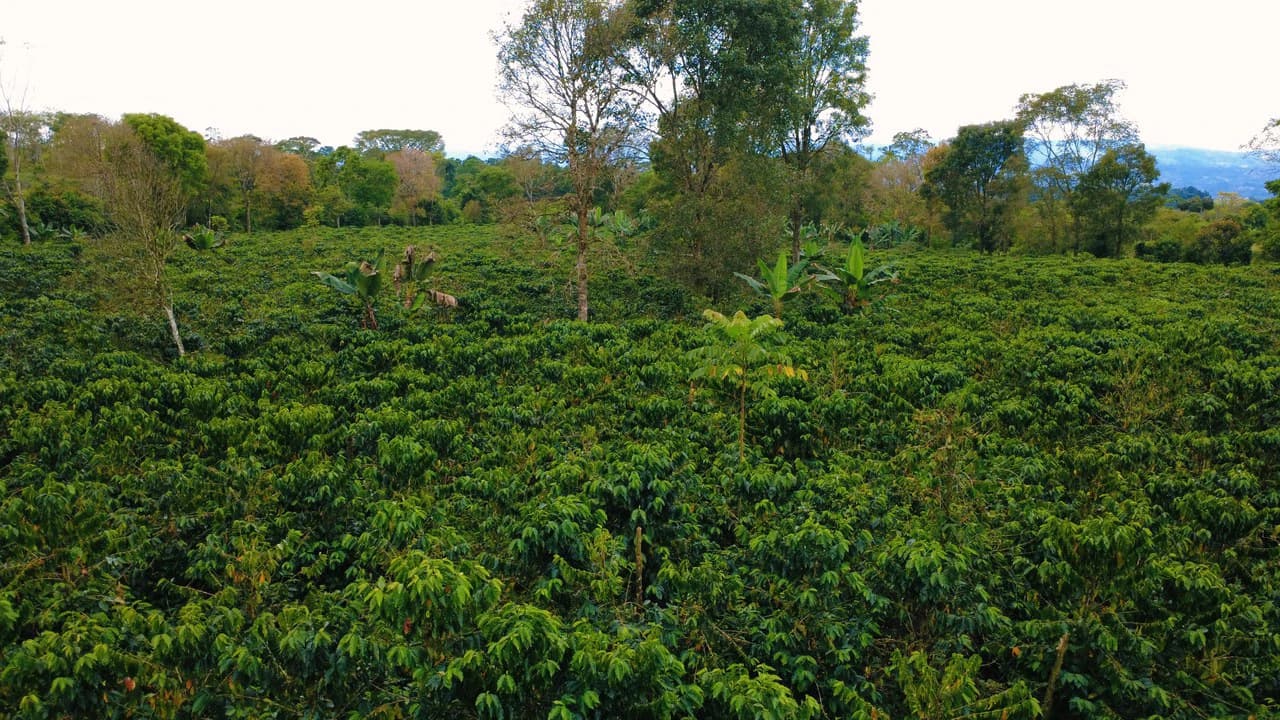 Countryside Home Construction Site For Sale in Santa Elena de San Isidro - photo 3