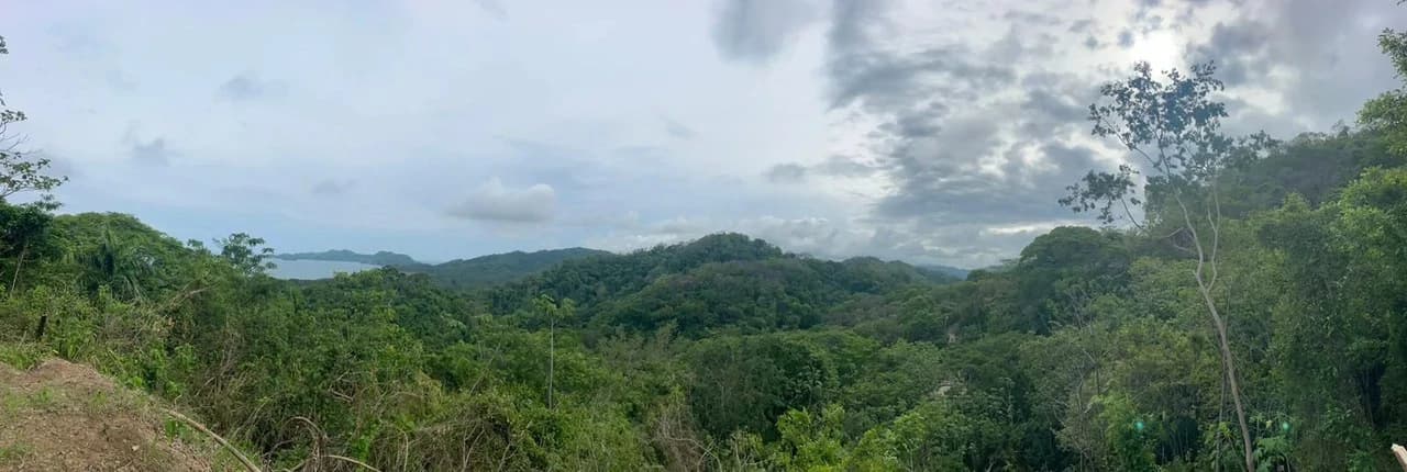 $250,000 USD EXCEPTIONAL 5,608 m² (1.39-acre) property: 1.39-Acre Ocean View Property, Near Paquera & Isla Tortuga - photo 9