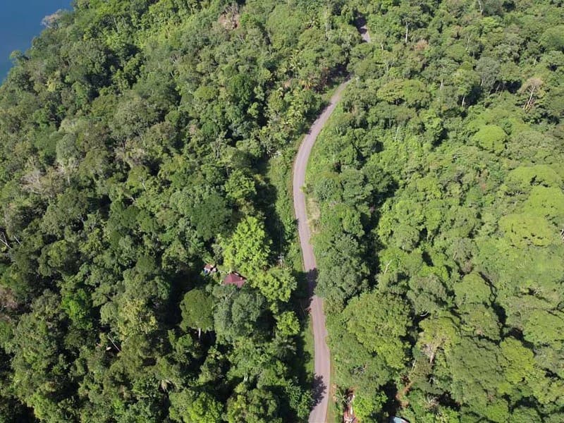 69.16 Acres Property | Mountain & Top Ocean View with Small Home - photo 9