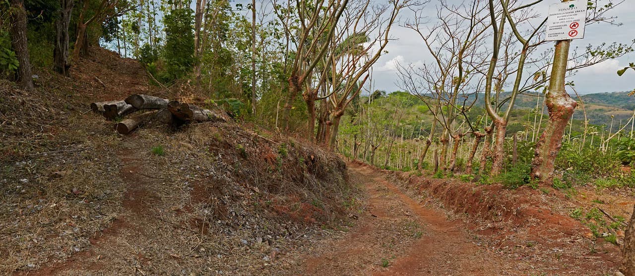 Finca Gomez: 214 Hectares | Ocean Views, Rivers & Development Potential – Guanacaste - photo 8