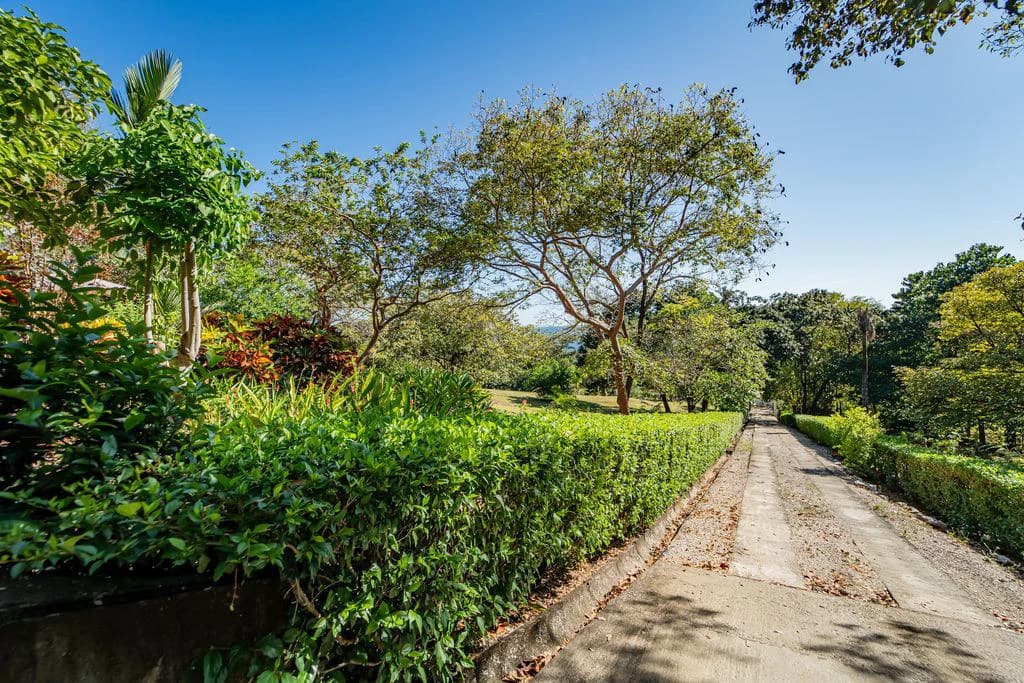 Casa Que Pasa: Exquisite Contemporary Hillside Home in a 1.6-acre Property Overlooking The Pacific Ocean - Enjoy Coastal Living in a Prime Location - photo 32