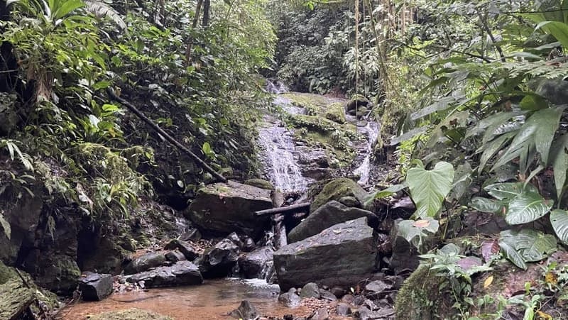 116-Hectare Finca for Sale Near Uvita with Whales Tail Views and 10 Waterfalls | La Faralla, Bahia Ballena, Uvita, Puntarenas, Costa Rica - photo 77